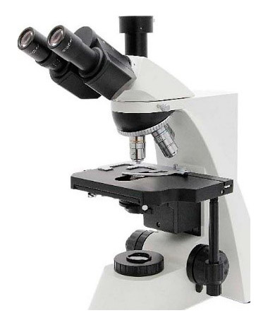 Исследовательский биологический микроскоп Optima® H-903