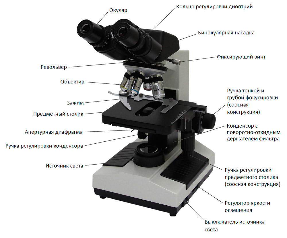 Чем цифровой микроскоп отличается от светового микроскопа. Окуляр Микромед 10х/22. Оптический микроскоп с тринокулярной насадкой Betical XTL-7063t-t510. Микроскоп Микромед строение. Строение микроскопа тубусодержатель.